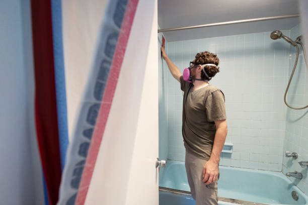  Mayfield, OH Mold Removal Pros