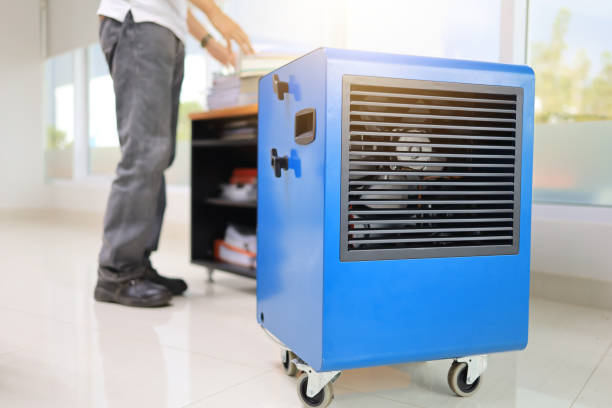 Environmental Consulting for Mold Prevention in Mayfield, OH